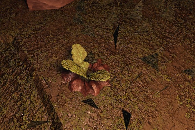 Руководство по выживанию: Мандрагора в Roblox Doors