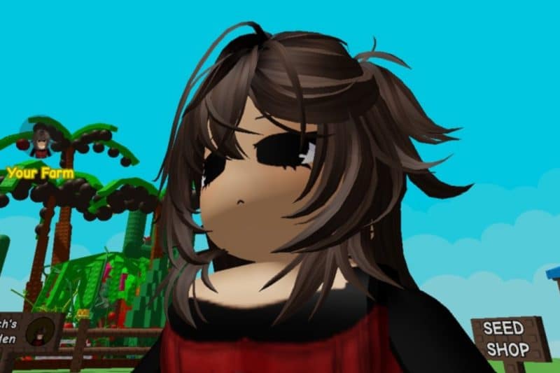 Развеиваем мифы: Могут ли еноты в Grow a Garden украсть ваши любимые фрукты?